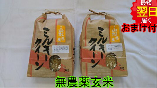 【令和5年産 新米】山形県産 無農薬 ミルキークイーン 玄米10kg送料無料 北海道 沖縄は発送見合わせております 