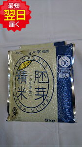 山形はえぬき 胚芽精米 無洗米　5kg送料無料※北海道、沖縄は発送見合わせております。