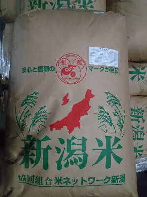 お試し特価　減農薬米【令和5年産　新米】新潟県産 新之助 10kg(5kg×2) 特別栽培米 送料無料 ※北海道、沖縄は発送見合わせております。