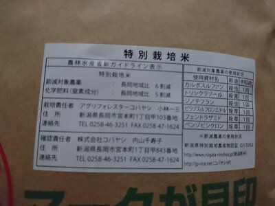 お試し特価　減農薬米【令和5年産　新米】新潟県産 新之助 5kg 特別栽培米 送料無料 ※北海道、沖縄は発送見合わせております。