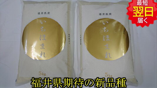 お試し価格【令和5年産　新米】福井県産　減農薬米　いちほまれ 10kg(5kg×2) 送料無料 ※北海道、沖縄は発送見合わせ…