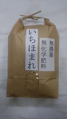 超美味　お試し価格【令和5年産】福井県産　無農薬　無化学肥料　いちほまれ 5kg 送料無料 ※北海道、沖縄は発送見合…