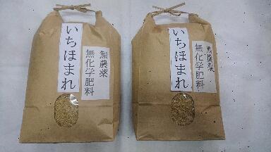 超美味　お試し価格【令和5年産】福井県産　無農薬　無化学肥料　いちほまれ 10kg 送料無料 ※北海道、沖縄は発送見合わせております。のサムネイル