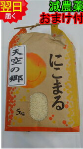 【令和2年産】高知県産 天空の郷　にこまる 5kg(白米または玄米) 特別栽培減農薬...