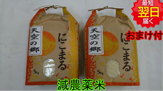 数量限定特価【令和4年産】高知県産 天空の郷　にこまる 10kg(白米または玄米) 特別栽培減農薬減化学肥料米 送料無料…