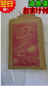 限定数入庫【令和7年産　新米】高知県産 天空の郷　にこまる 30kg(精米無料) 特...