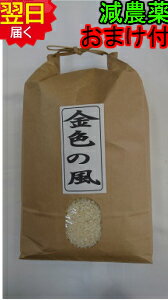 【令和3年産】金色の風 減農薬米　5kg(白米または玄米)送料無料※北海道、沖縄は発送見合わせております。