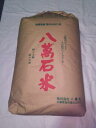 【令和7年産 新米】千葉県産 地域厳選 ふさこがね ★玄米30kg(もしくは精米無料)送料無料※北海道、沖縄、離島は発送見合わせております。