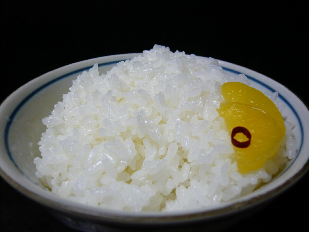 再再販 令和2年産 新米 佐賀県産特別栽培米 減農薬5割減 化学肥料5割減 七夕コシヒカリ 玄米30kg 精米無料 北海道 沖縄 離島は発送見合わせております 在庫有 Www Dom7 Com Br 再再販 令和2年産 新米 佐賀県産特別栽培米 減農薬5割減 化学肥料5割減 七夕コシヒカリ 玄米30kg 精米無料 北海道 沖縄 離島は発送見合わせております 在庫有 Www Dom7 Com Br