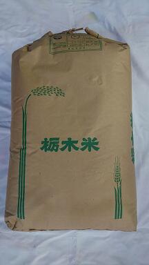 新米お試し価格【令和4年産】栃木県大田原産　コシヒカリ　★玄米30kg（もしくは精米...