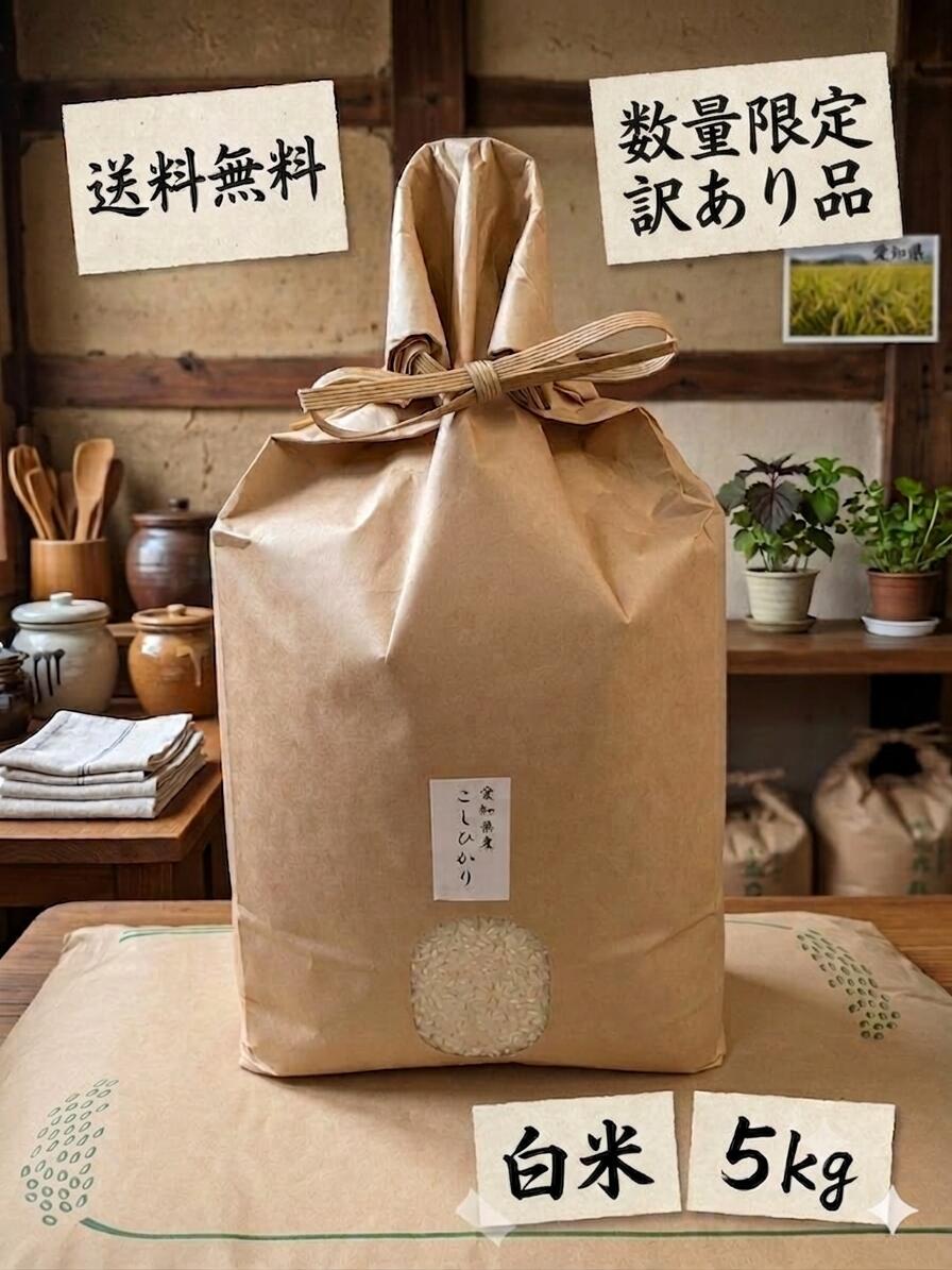 【訳あり】 愛知県産こしひかり お米マイスターおすすめ 5kg 白米 実店舗あり 愛知県名古屋市昭和区 創業100年 安心 信頼 家庭用 お米 こしひかり