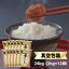 令和3年(2021) 石川県産 夢ごこち 白米・玄米 24kg(2kg×12袋)【送料無料】【特別栽培米】【即日出荷は白米のみ】【米袋は真空包装】