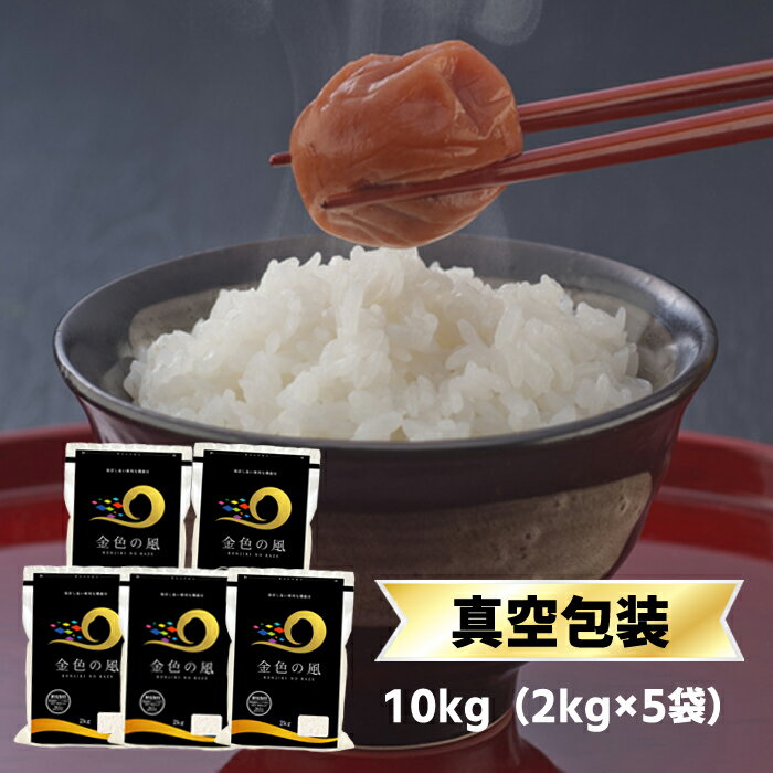 令和3年(2021年) 岩手県産 金色の風 白米〈岩手の最高級米 新品種〉 10kg（2kg×5袋）【送料無料】【米袋は真空包装】【即日出荷】
