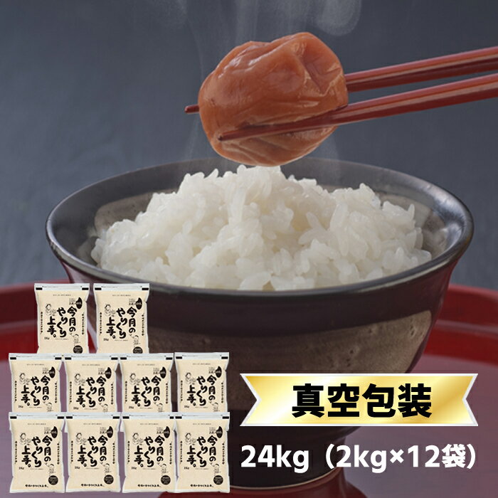 新米 令和5年産(2023年) 島根県産 きぬむすめ（24kg｜2kg×12袋）