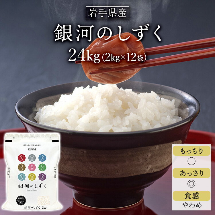 令和5年産 2023年 岩手県産 銀河のしずく 白米 ＜デビューして5年連続特A評価＞24kg 2kg 12袋 【送料無料】【米袋は窒素充填包装】【即日出荷】