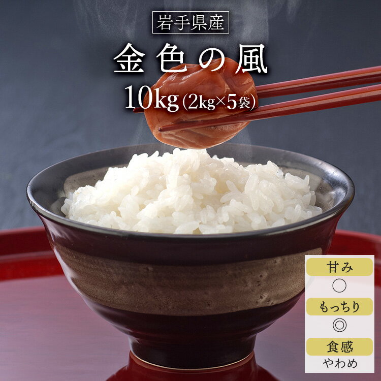 令和5年産 2023年 岩手県産 金色の風 白米 岩手の最高級米 新品種 10kg 2kg 5袋 【送料無料】【米袋は窒素充填包装】【即日出荷】