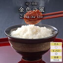 令和5年産(2023年) 岩手県産 金色の風 白米〈岩手の最高級米 新品種〉 24kg（2kg×12袋）【送料無料】【米袋は窒素充填包装】【即日出荷】