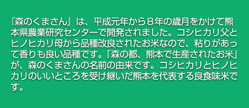 令和3年(2021年) 熊本産 森のくまさん　300g(2合) × 3パック 真空パック【白米・ゆうパケット便送料込】