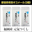 令和元年産(2019年) 福岡産 元気つくし　300g(2合) × 3パック 真空パック【白米・ゆうパケット便送料込】