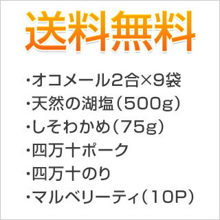 行楽シーズン アウトドア用のピクニックセットおにぎり食べ比べ(夢ごこち×3袋・銀河のしずく×3袋・新之助×3袋・天然の湖塩・しそわかめ・四万十ポーク・四万十のり・マルベリーティ)【送料無料】