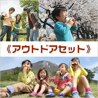 行楽シーズン アウトドア用のピクニックセットおにぎり食べ比べ(夢ごこち×3袋・銀河のしずく×3袋・新之助×3袋・天然の湖塩・しそわかめ・四万十ポーク・四万十のり・マルベリーティ)【送料無料】