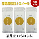 新米 令和5年(2023年) 福井産 いちほまれ 300g(2合) × 3パック 真空パック【白米 ゆうパケット便送料込】