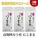 令和4年(2022年) 高知四万十産 にこまる〈日本一おいしい米コンテスト 全国第二位 優秀金賞受賞〉〈6年連続特A評価〉 300g(2合) × 3個セット 真空パック
