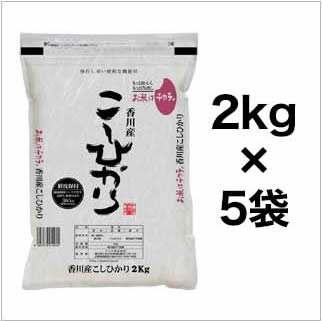 【エントリーでポイント5倍】令和3年(2021年) 香川県産 コシヒカリ 白米 10kg(2kg×5袋)【送料無料】【米袋は真空包装】【即日出荷】 香川 コシヒカリ