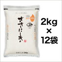 令和3年(2021年) 山形県庄内産 ササニシキ 24kg(2kg×12袋)【白米・玄米選択】【特別栽培米】【送料無料・米袋は真空包装】