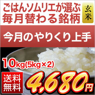 ＜精選玄米＞島根県産　きぬむすめ　10kg（5kg×2袋） 10kg 【 送料無料 ...