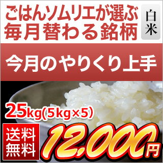 【6月のやりくり上手】山形県産　はえぬき（白米25kg｜5kg×5袋）【送料無料・令和元年産】【白米】【即日出荷】