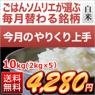 令和3年(2021年) 【7月のやりくり上手】滋賀県産 きぬむすめ ( 10kg | 2kg×5袋 ) 【 送料無料 / お米】【白米】【即日出荷】