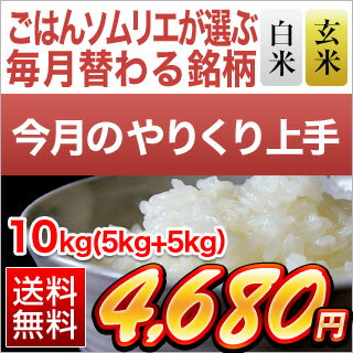 【白米・玄米セット】島根県産　きぬむすめ　10kg（5kg×2袋）【送料無料・令和元年産】 【5月のやりくり上手】【白米・玄米】