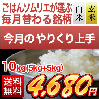 【白米・玄米セット】島根県産　きぬむすめ　10kg（5kg×2袋）【送料無料・令和元...