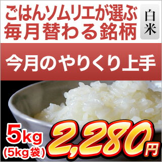 【5月のやりくり上手】島根県産　きぬむすめ（5kg）【令和元年産 / お米】【白米】【即日出荷】