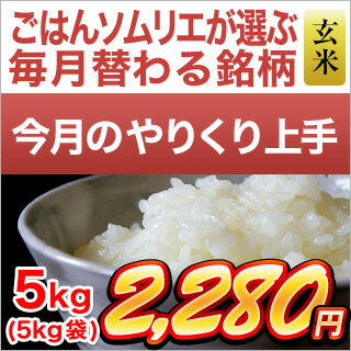 ＜精選玄米＞島根県産　きぬむすめ（5kg）【令和元年産 / お米】【5月のやりくり上...