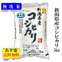 【送料無料】 無洗米 米 お米 【新潟県産 コシヒカリ】 5kg 5キロ 令和2年 米 おこめ こめ コメ 白米 こしひかり 新潟こしひかり 新潟米 お中元 米5キロ お米5キロ 美味しい米 おいしい米 大粒 新潟 贈り物 贈答 内祝い お取り寄せ