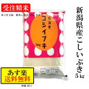 【20％OFFクーポン配布中】 受注精米 令和2年産 米 【新潟県産 こしいぶき】 5kg （5キロ） こしいぶき 新潟米 ブランド 米 お米 こめ コメ おこめ 精白米 高級米 ブランド米 美味しい おいしいお米 お中元 お米5キロ カレー チャーハン 丼物 鮨 お寿司 贈り物 贈答 優良米