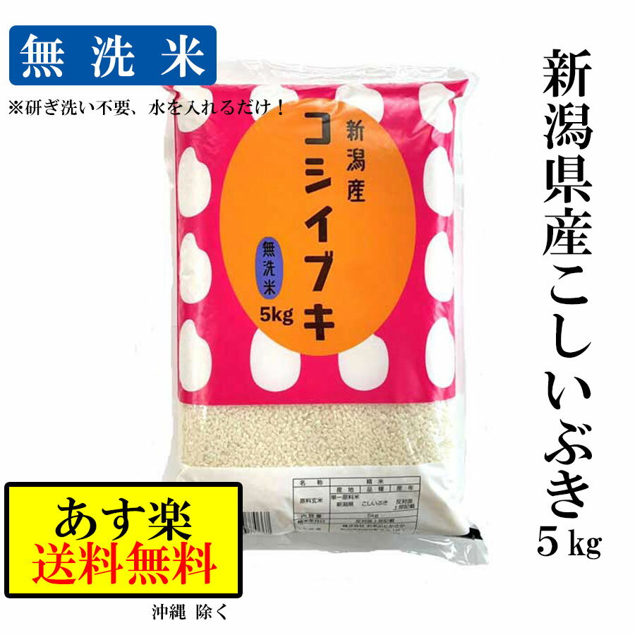 【送料無料】米 無洗米 令和2年産 【新潟県産 こしいぶき】 5kg 令和2年 お米 こしいぶき 新潟米 無洗米 白米 5キロ 無洗米5キロ ブランド米 高級米 美味しい米 お中元 おいしい米 優良米 大粒 お弁当 カレー おにぎり チャーハン 丼物 鮨 お寿司 お取り寄せ