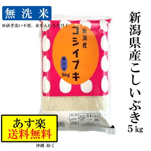 【送料無料】米 無洗米 令和2年産 【新潟県産 こしいぶき】 5kg 令和2年 お米 こしいぶき 新潟米 無洗米 白米 5キロ 無洗米5キロ ブランド米 高級米 美味しい米 お中元 おいしい米 優良米 大粒 お弁当 カレー おにぎり チャーハン 丼物 鮨 お寿司 お取り寄せ