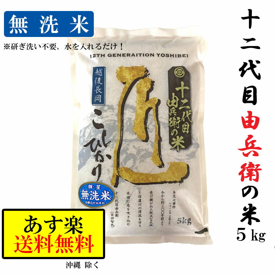 【送料無料】令和2年産 米 無洗米 【匠の技 新潟県産 コシヒカリ 】越後長岡産 5kg (5キロ) x 1袋 令和2年 新潟こしひかり お米 おこめ おいしいお米 米5kg お米5キロ 白米 精米5kg 大粒 甘い 美味しい 旨み 新潟 新米 新潟県 ギフト 贈り物 贈答 優良米