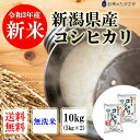 【新米入荷】 無洗米 米 令和3年産【新潟県産 コシヒカリ】 10kg (10キロ) 5kg ×2袋 令和3年 お米 白米 おこめ 精米 精白米 新潟こしひかり 新潟米 米10キロ 美味しい米 こめ コメ 大粒 米10kg 内祝い お米10キロ 無洗米10kg 新潟 ギフト お取り寄せ - お米のたかさか