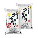 【新米入荷】 受注精米 令和3年産 米 お米 【新潟県産 コシヒカリ 】 10kg (10キロ) 5kg x 2袋 令和3年 おこめ こめ 新潟 こしひかり 新潟米 米10キロ ブランド米 精白米 白米 精米 コメ 美味しい米 米10kg お米10キロ 新潟 お祝い ギフト 贈り物