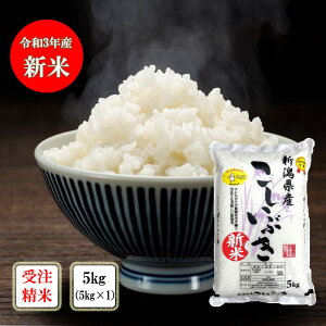 【新米入荷】 受注精米 令和3年産 新米 【 新潟県産 こしいぶき 】 5kg （5キロ） 新米 新潟 ブランド 米 新潟米 お米 こめ コメ おこめ お歳暮 精白米 高級米 ブランド米 美味しい お米5キロ 御歳暮 お弁当 カレー チャーハン 丼物 鮨 お寿司 ギフト 贈り物 贈答 優良米