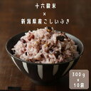 【食べきり雑穀ミックス】【十六穀入り 無洗米 】 十六穀米 雑穀米 お米 米 新潟県産 こしいぶき (270g)+十六穀(30g)ミックス300g(2合)×10...