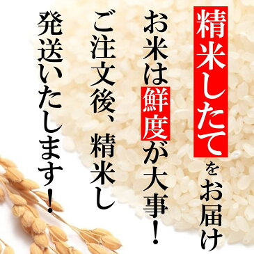 【受注精米】 【 新潟県産 コシヒカリ 】 10kg (10キロ) 5kg x 2袋 あす楽 お米 米 送料無料 令和3年産 新潟 こしひかり おこめ 米10kg 父の日 ギフト 米10キロ ブランド米 白米 コメ お米10キロ 御中元 贈り物 お祝い お取り寄せ 内祝い