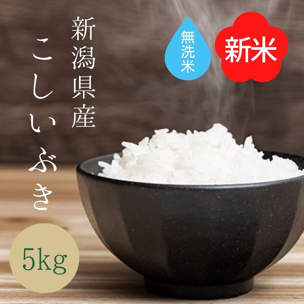 【新米入荷】 無洗米 【 新潟県産 こしいぶき 】 ( 5kg ) 令和5年産 新米 米 お米 送料無料 5キロ 新潟米 白米 ブランド米 高級米 優良米 取り寄せ 大粒 お弁当 カレー おにぎり お寿司 お取り寄せ ギフト お中元 贈り物 プレゼント 産地直送