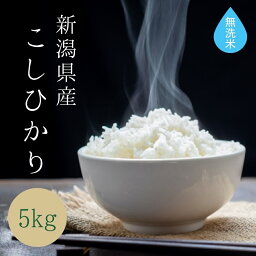 お米のたかさか お米 無洗米 【 新潟県産 コシヒカリ 】 ( 5kg ) 令和5年産 米 お米 あす楽 新潟米 5キロ 令和5年 おこめ コメ 白米 こしひかり 新潟こしひかり お米5キロ ブランド米 大粒 ギフト お中元 贈り物 贈答 内祝い お取り寄せ 送料無料