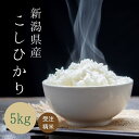 受注精米  ( 5kg ) 令和5年産 お米 米 あす楽 送料無料 令和5年 5キロ 白米 こめ おこめ コメ こしひかり 精米 新潟こしひかり ブランド米 新潟米 米5kg お米5キロ 大粒 父の日 ギフト 御中元 お取り寄せ 優良米 贈答