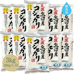 無洗米 お米 【 新潟県 魚沼産コシヒカリ 】 3kg (300g(2合)x10) 2合パック 米 3キロ 令和4年産 おこめ コメ 魚沼 白米 魚沼産こしひかり 新潟こしひかり 新潟米 米3kg お米3キロ ブランド米 高級 キャンプ ギフト お中元 送料無料 内祝い